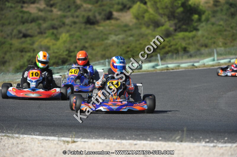 DSC (2556).JPG